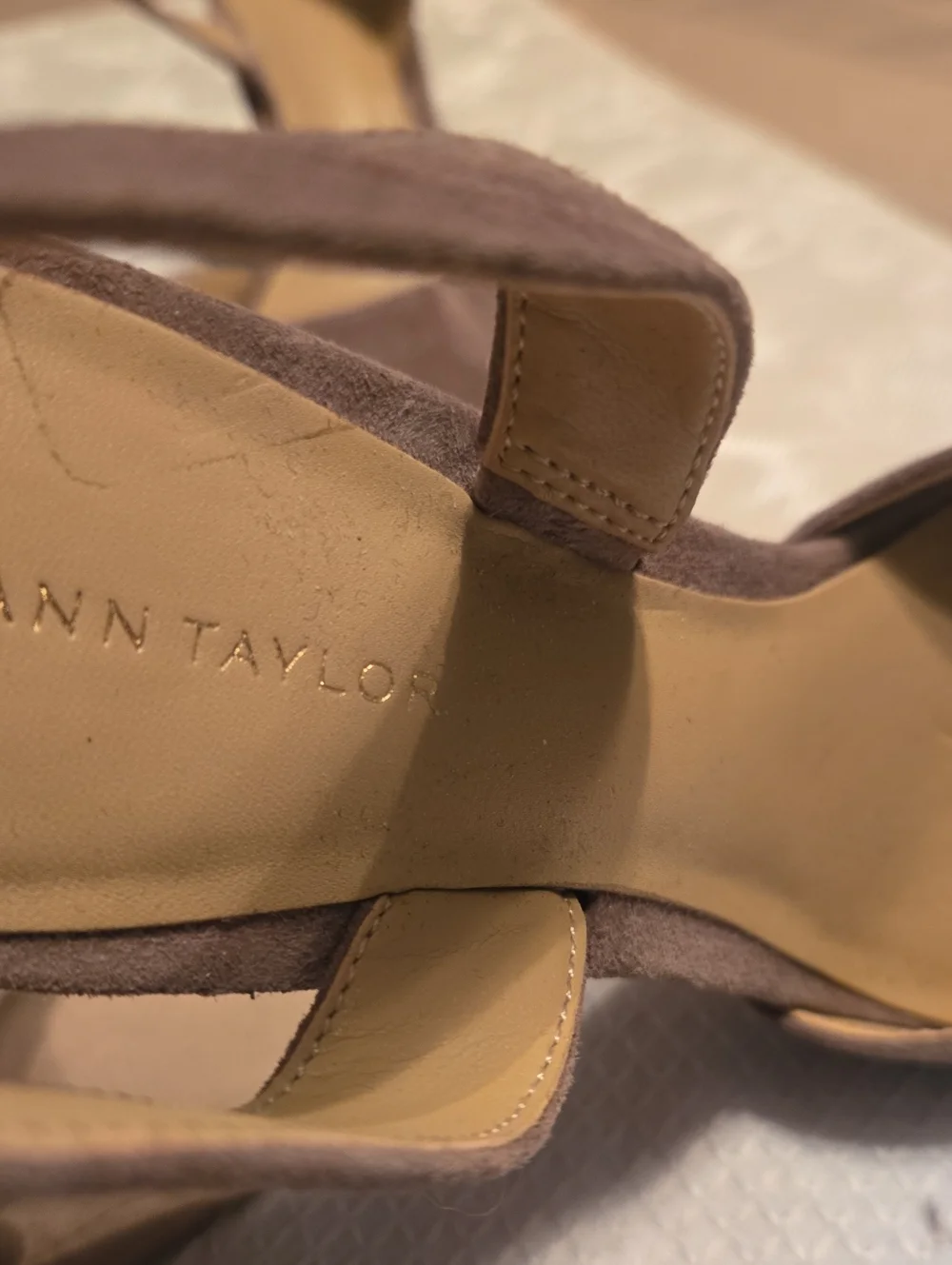 Ann Taylor ann taylor